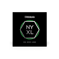 D`ADDARIO NYNW025