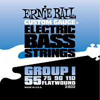 ERNIE BALL P02802